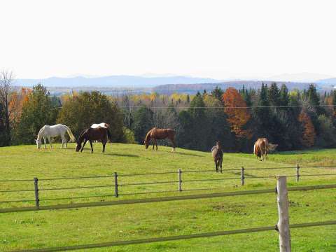 Harmony Hills Equestrian Centre